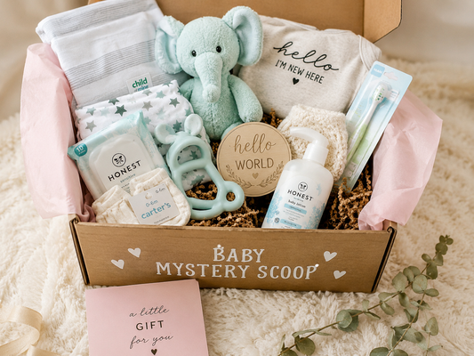 Baby Mystery Scoop | 6–12 Months